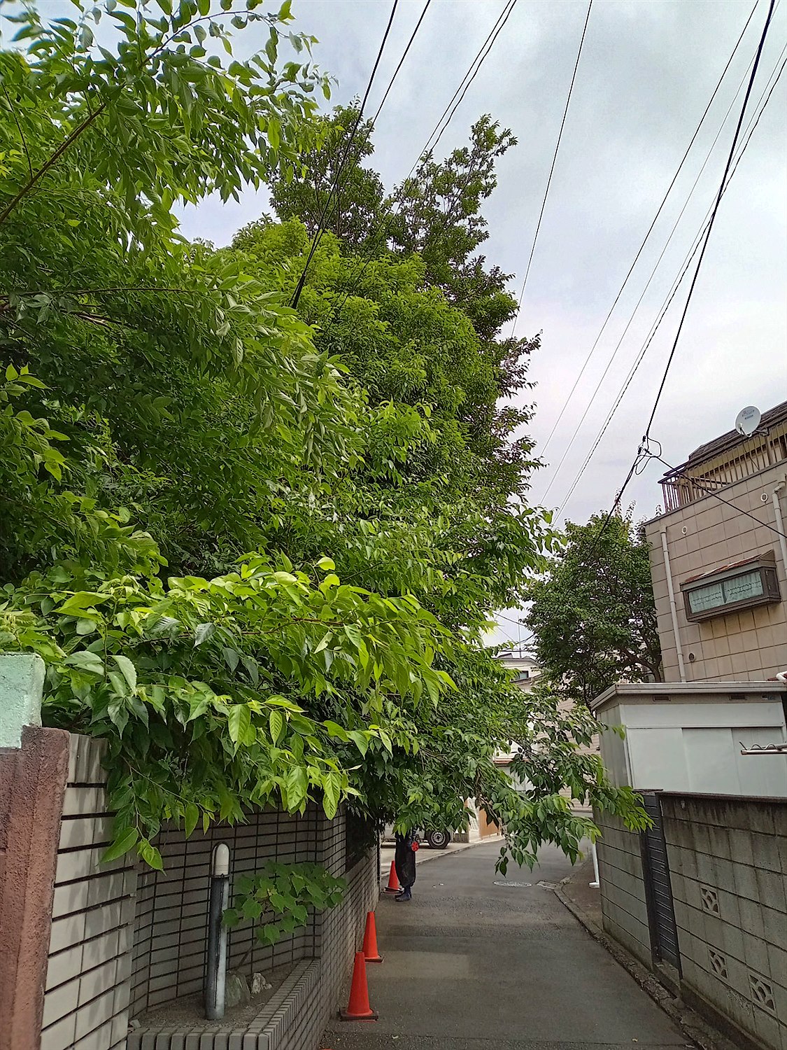 施工前