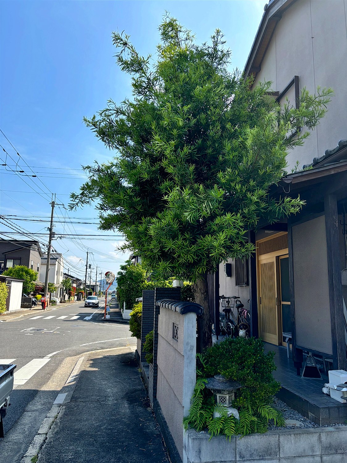 施工前
