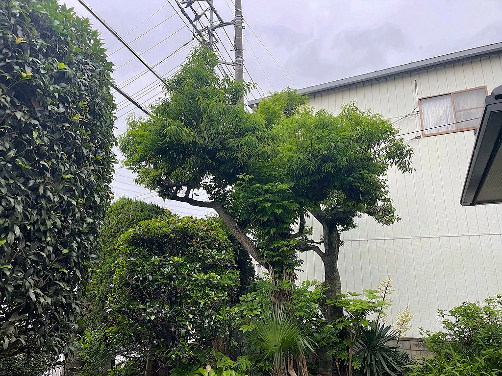 施工前2