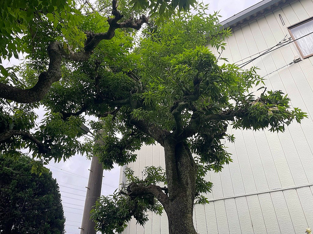 施工前