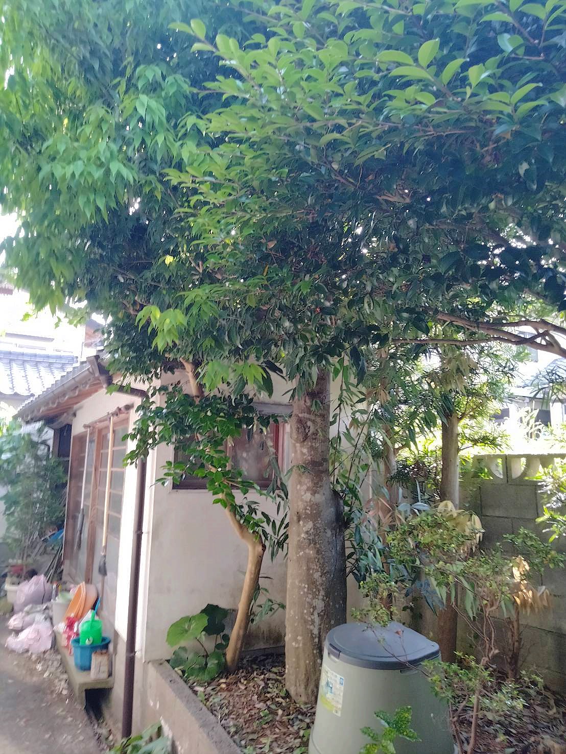 施工前2