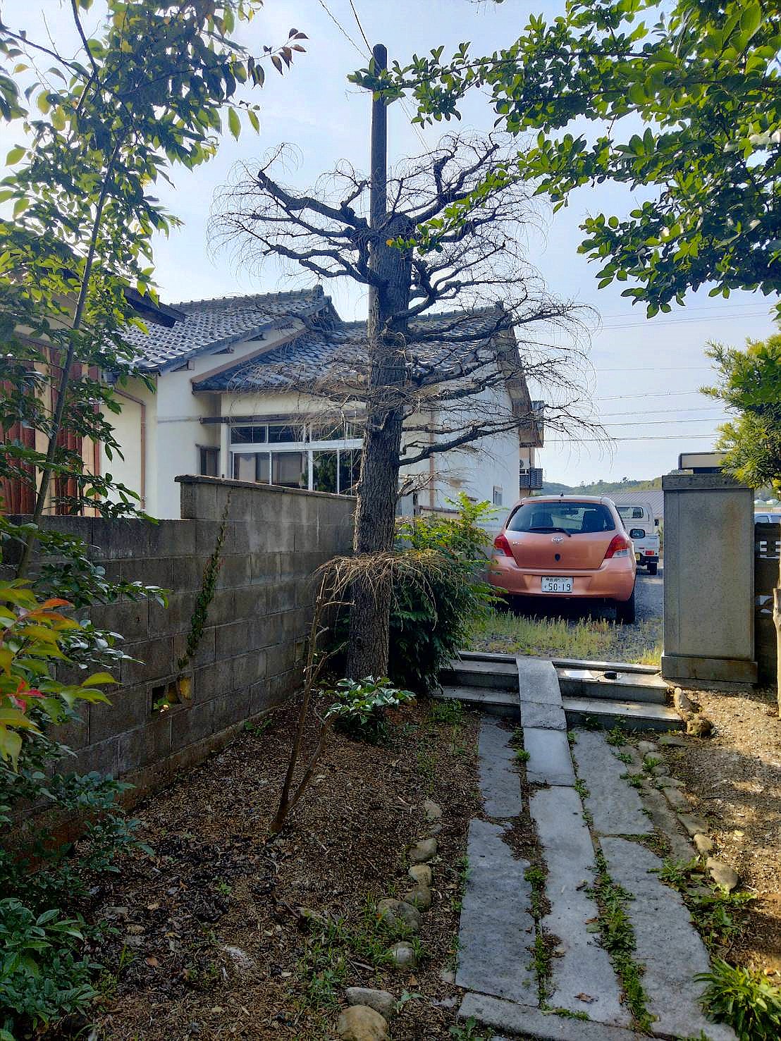 施工前