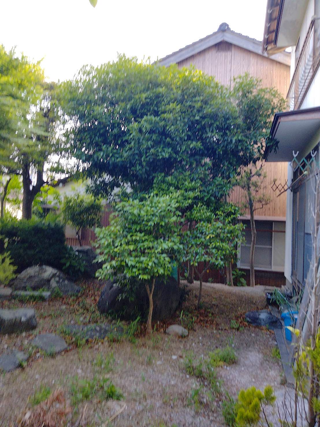 施工前