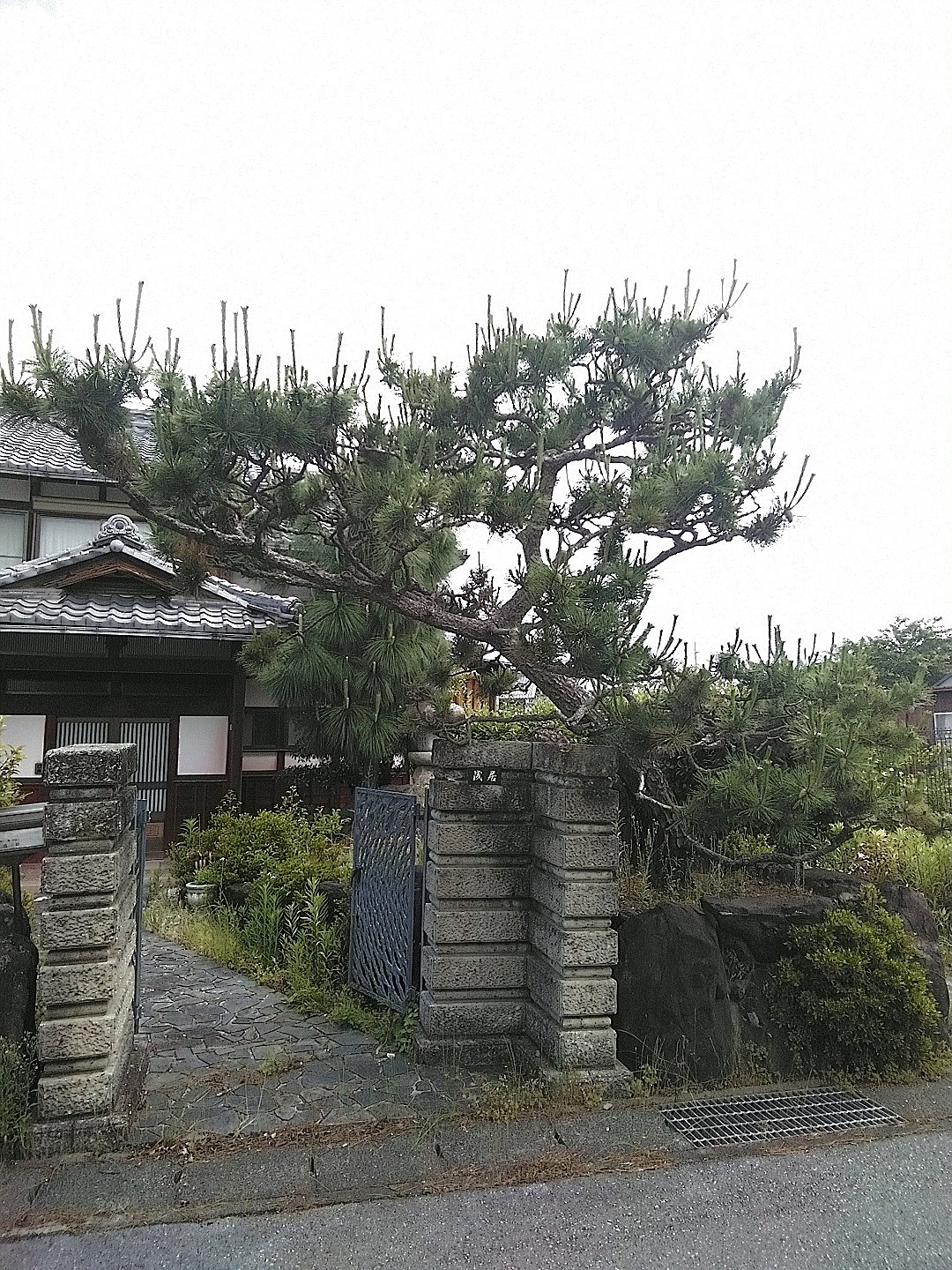 施工前2
