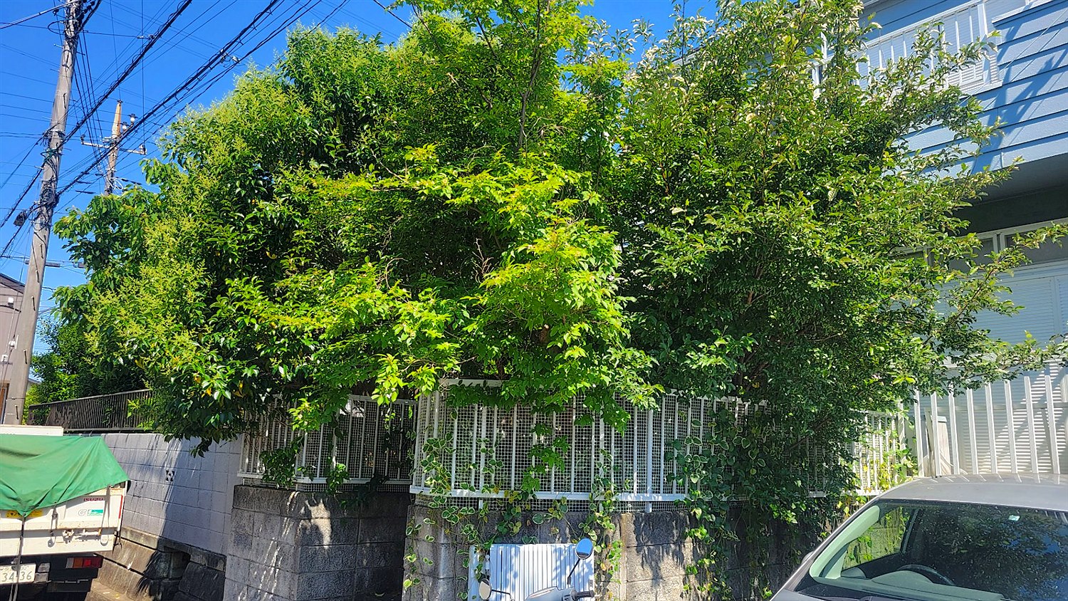 施工前2