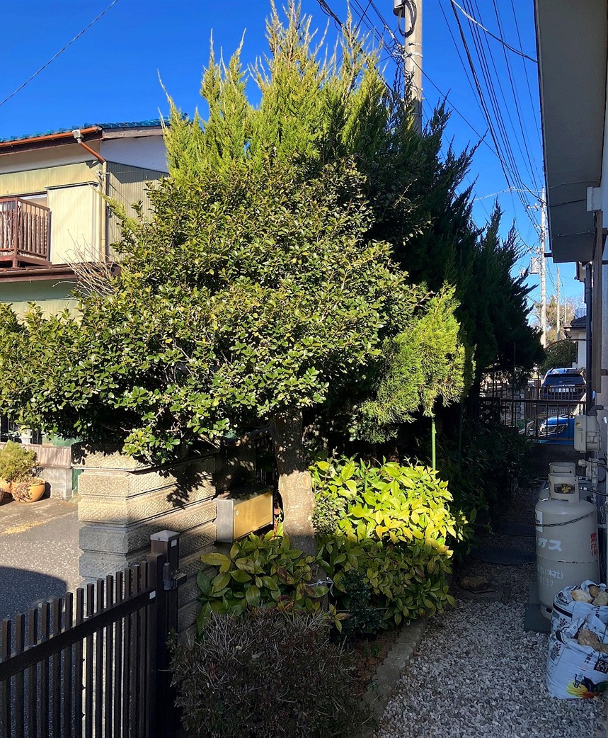 施工前