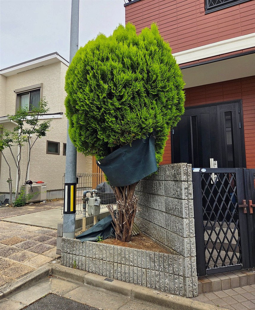 施工前2