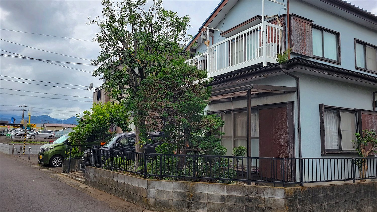埼玉県川口市／庭木伐採