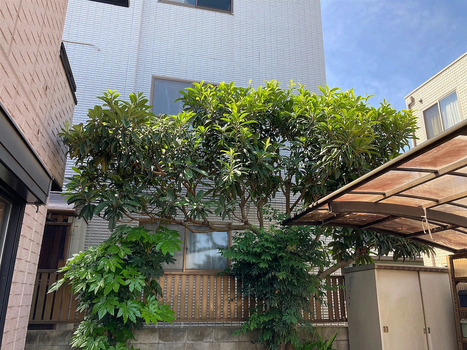 施工前