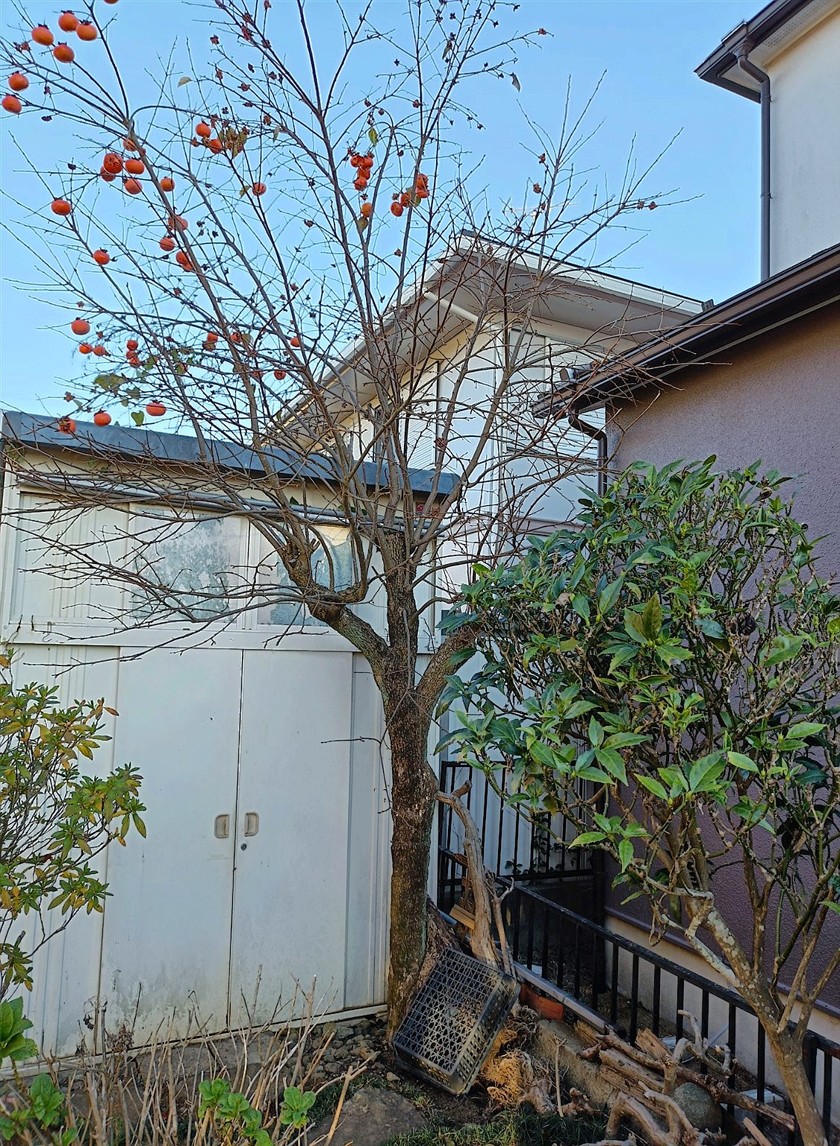 施工前2