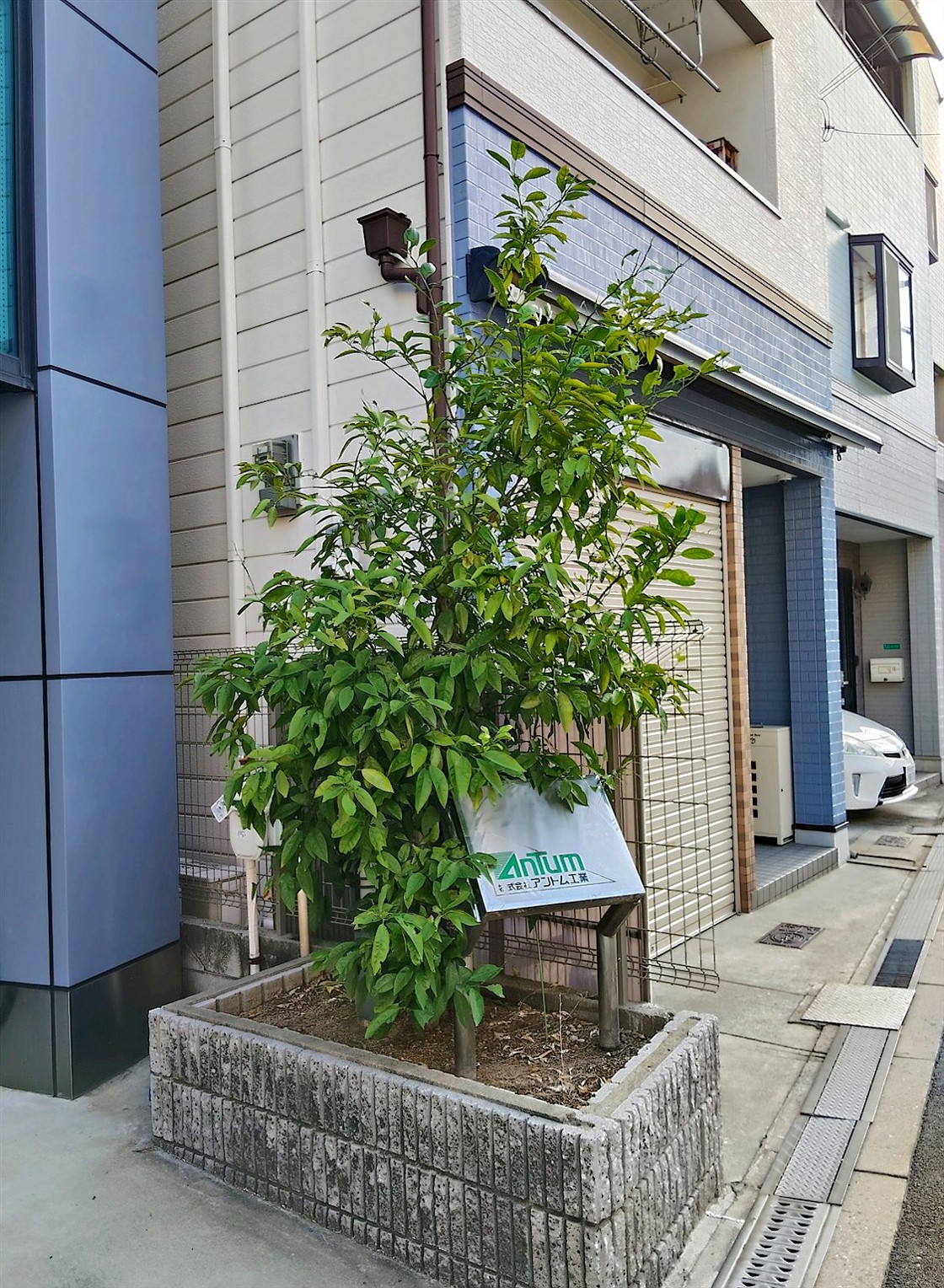 施工前2
