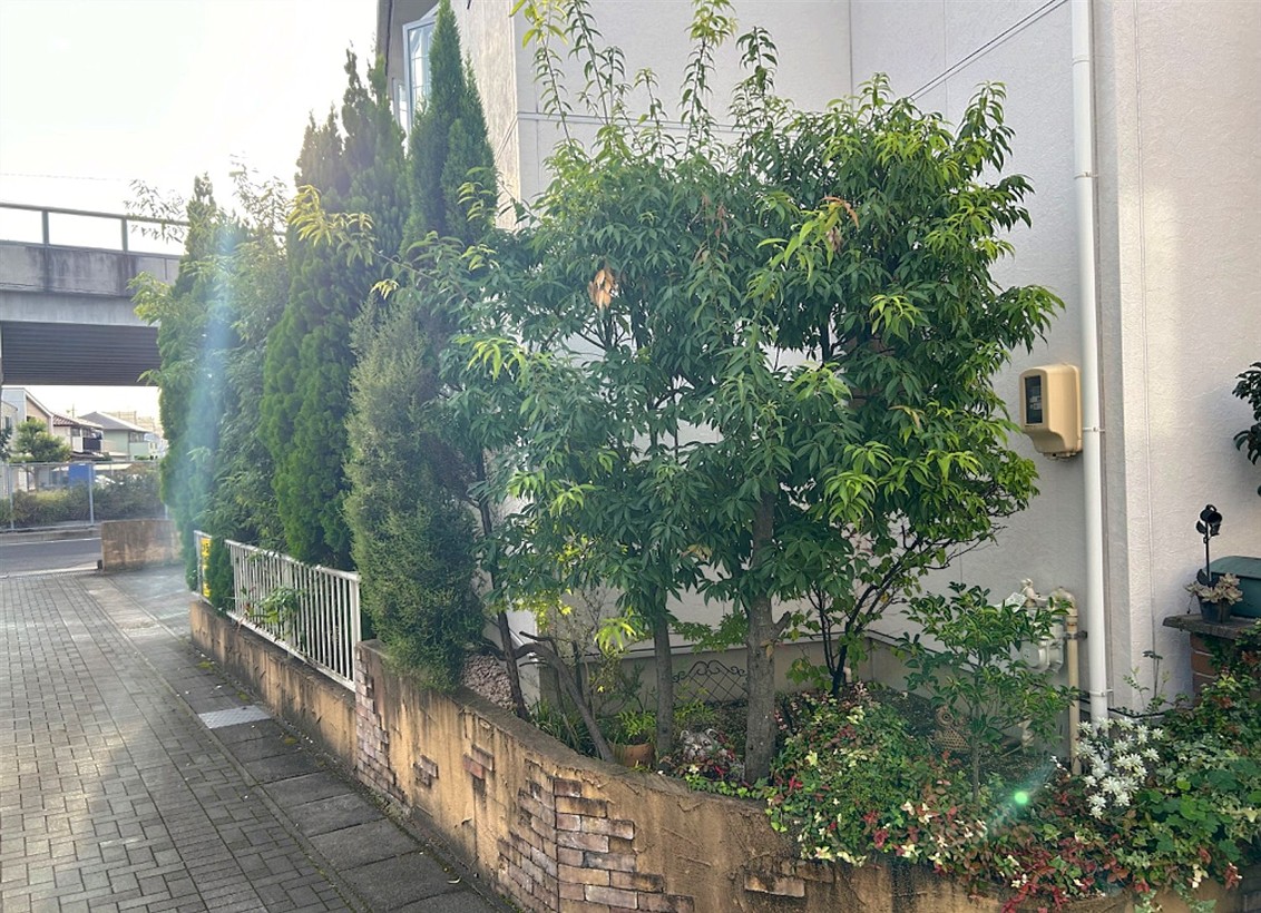 施工前