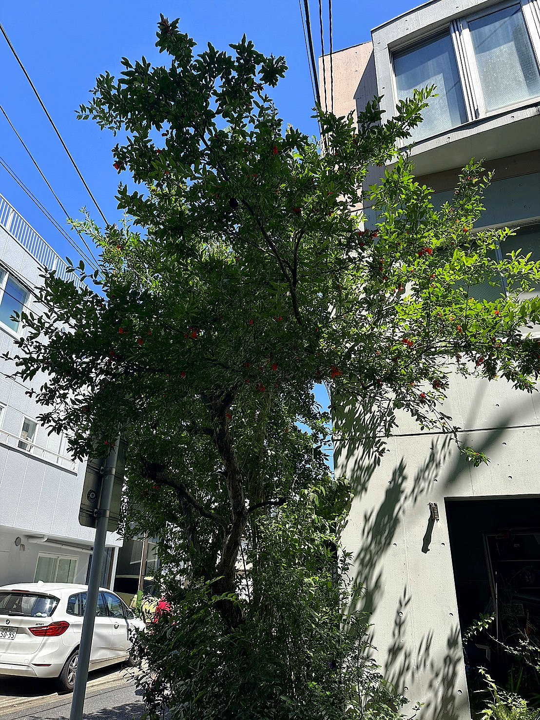 施工前2