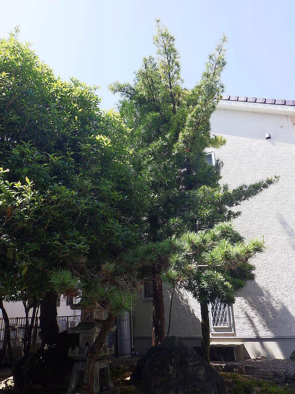 施工前2