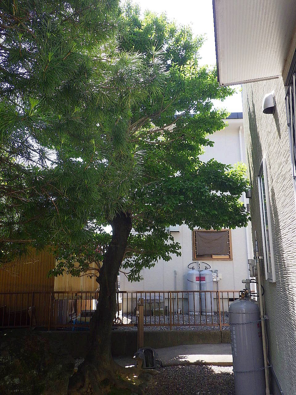 施工前