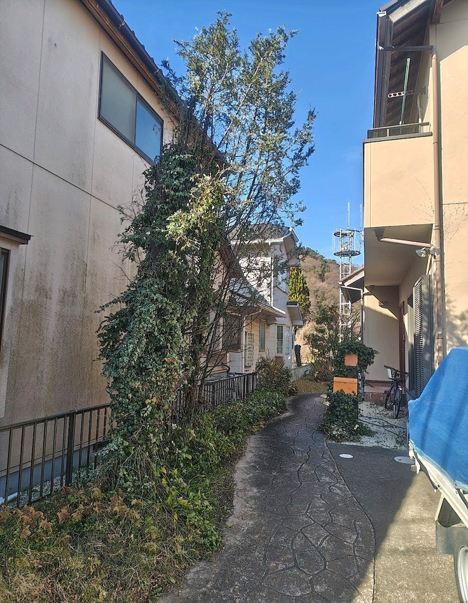 施工前2