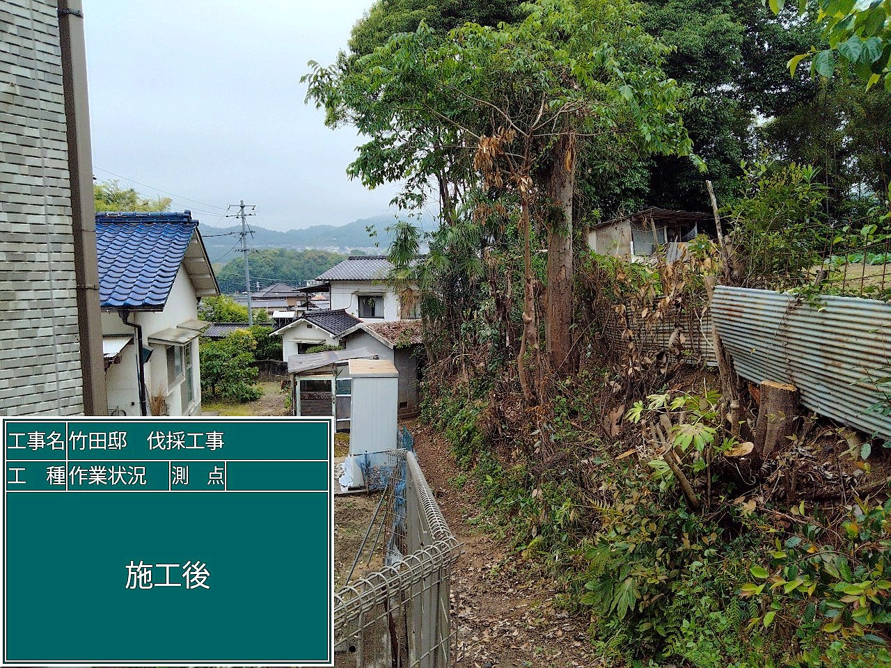 兵庫県加古川市／庭木伐採