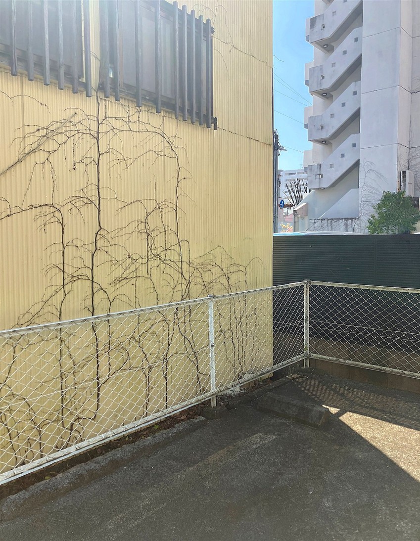 東京都江戸川区／庭木伐採
