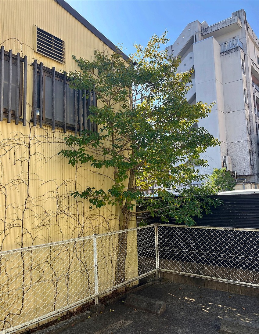 施工前