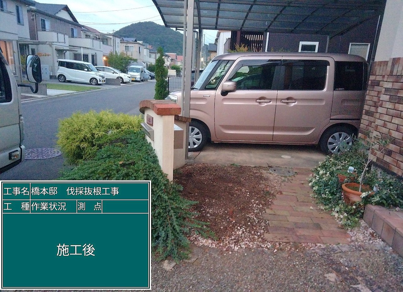 群馬県館林市／庭木伐採