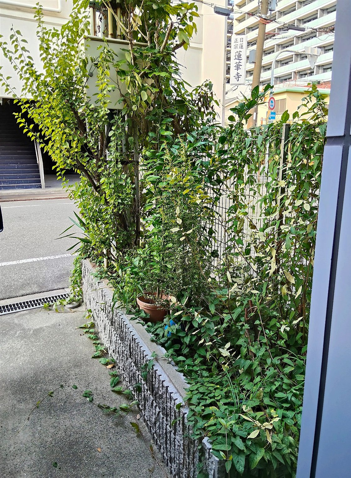施工前