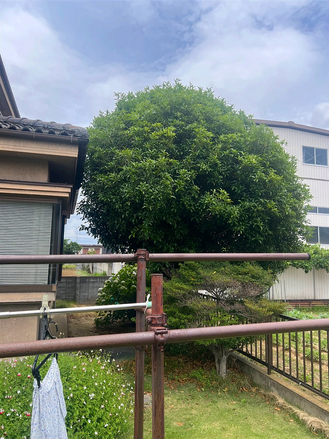 施工前2