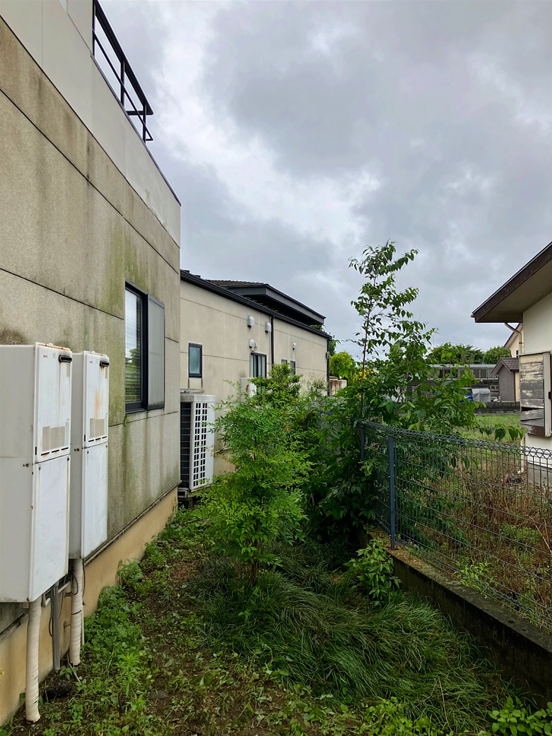 京都府長岡京市／庭木伐採