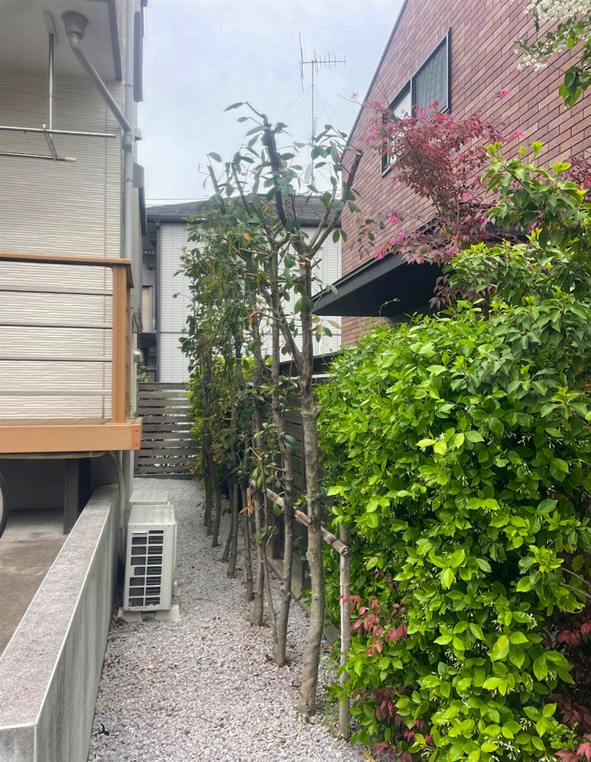 施工後2
