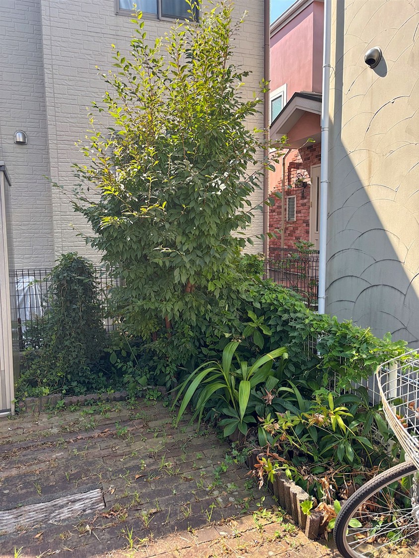施工前