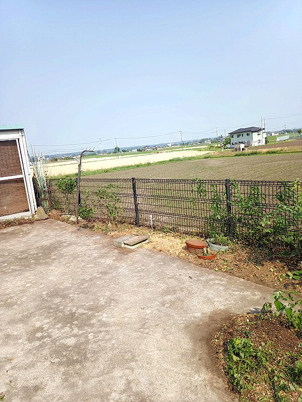 愛知県名古屋市天白区／庭木伐採