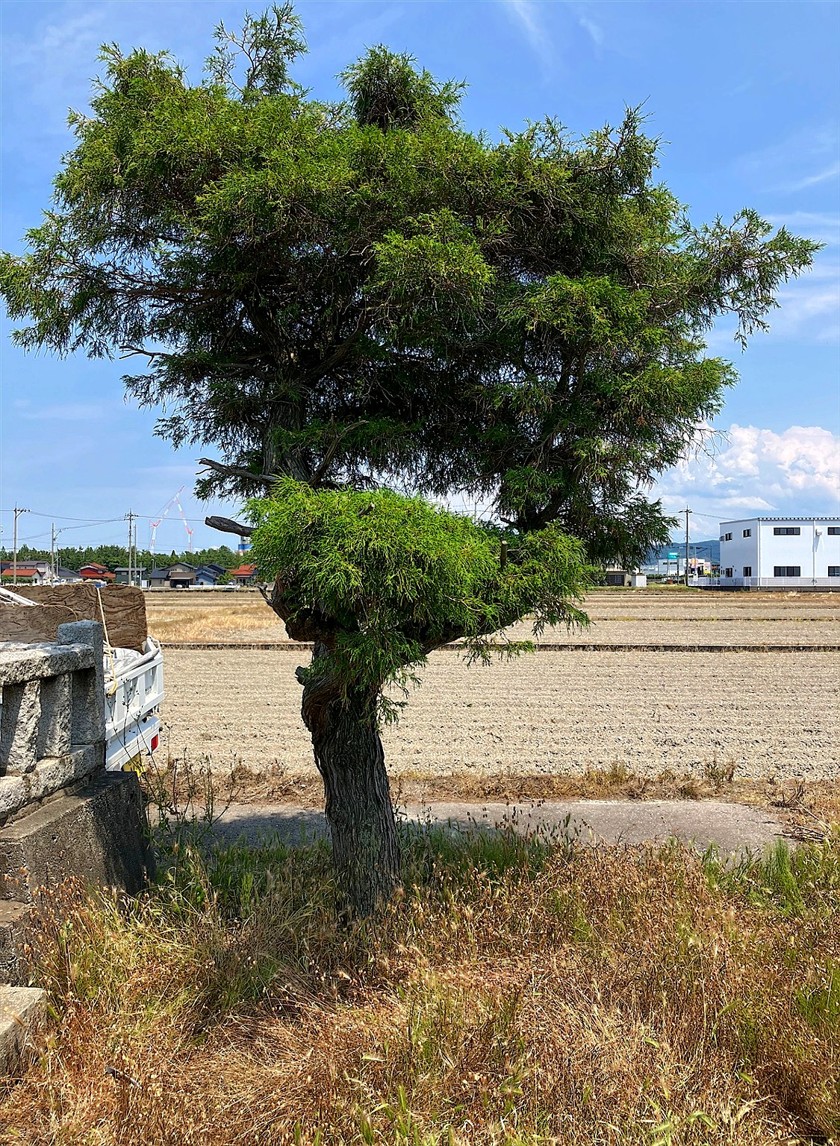 施工前2